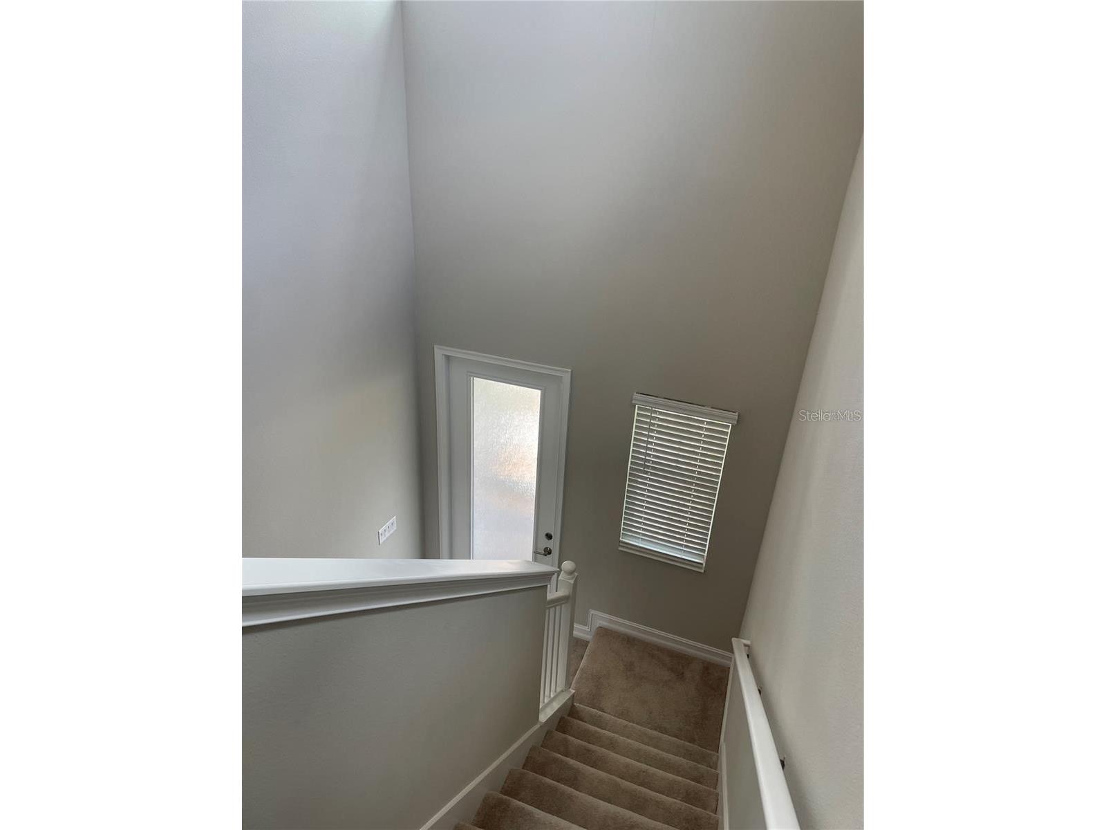 4580 Almada Lane Wesley Chapel FL 33543 TB8466943 image18