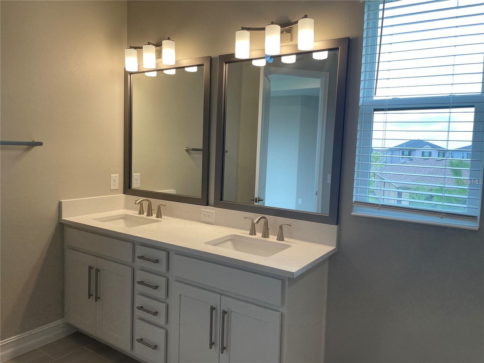 4580 Almada Lane Wesley Chapel FL 33543 TB8466943 image23