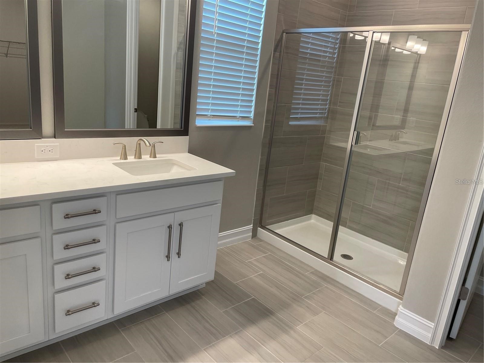 4580 Almada Lane Wesley Chapel FL 33543 TB8466943 image24