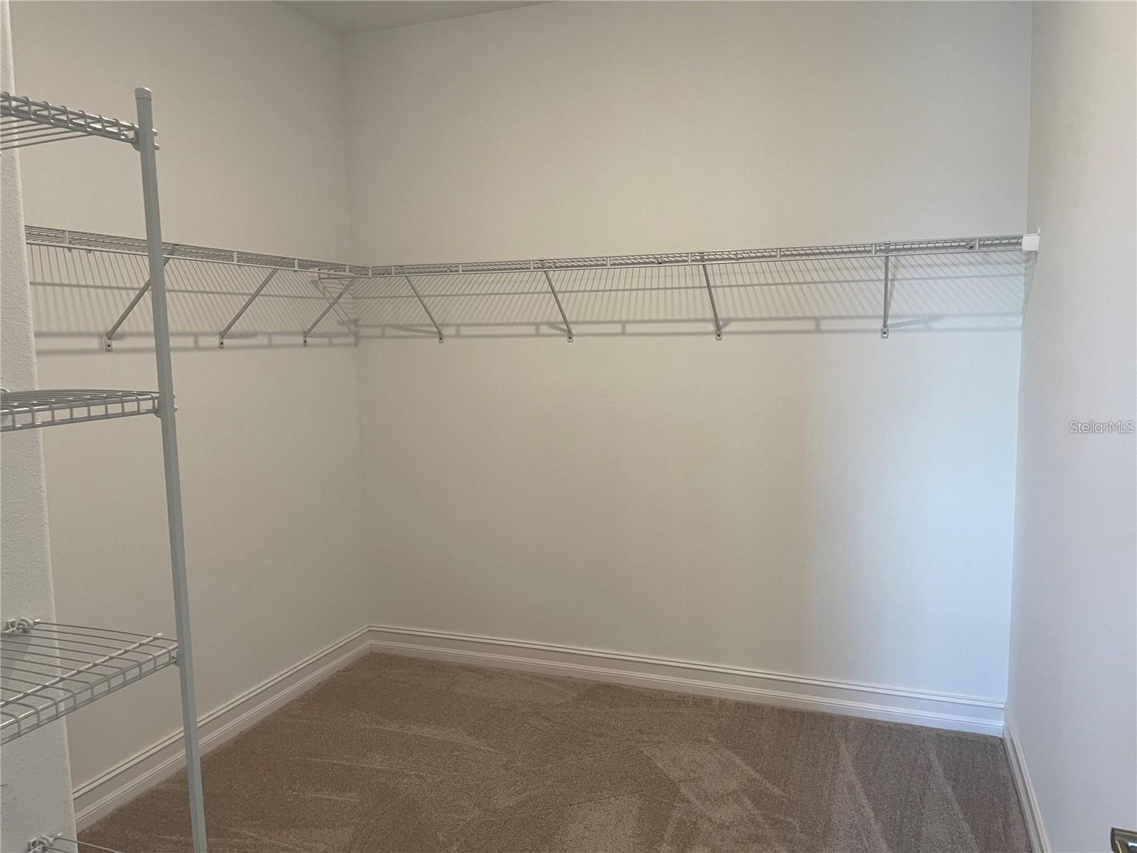 4580 Almada Lane Wesley Chapel FL 33543 TB8466943 image25