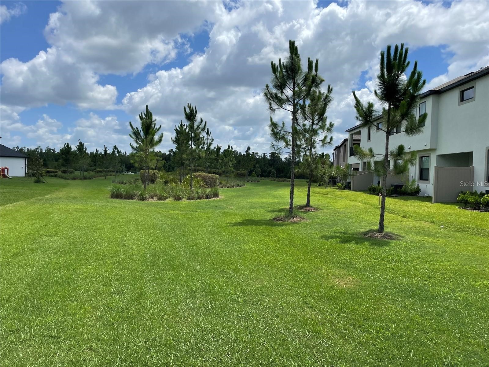 4580 Almada Lane Wesley Chapel FL 33543 TB8466943 image34