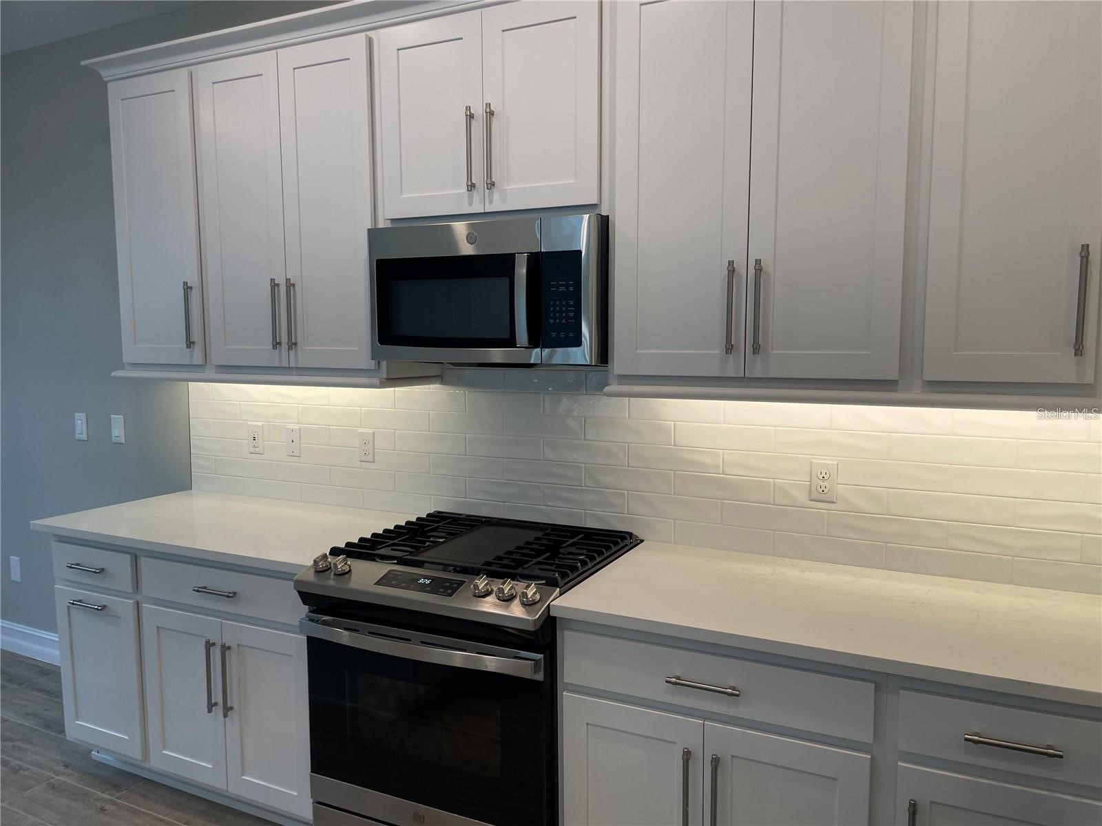 4580 Almada Lane Wesley Chapel FL 33543 TB8466943 image8