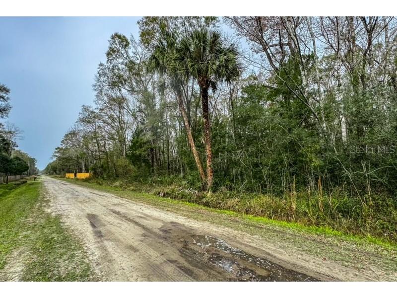 4580 Harold Street Hastings FL 32145 FC306719 image10