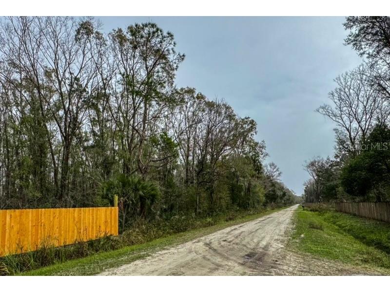 4580 Harold Street Hastings FL 32145 FC306719 image11