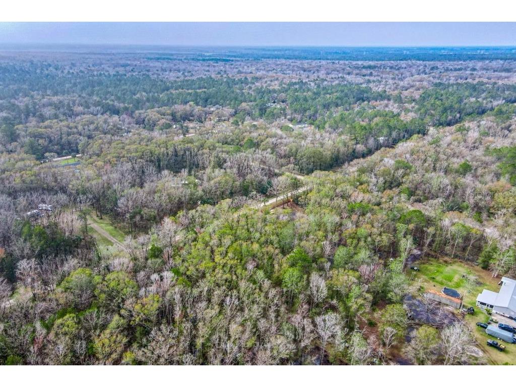 4580 Harold Street Hastings FL 32145 FC306719 image5