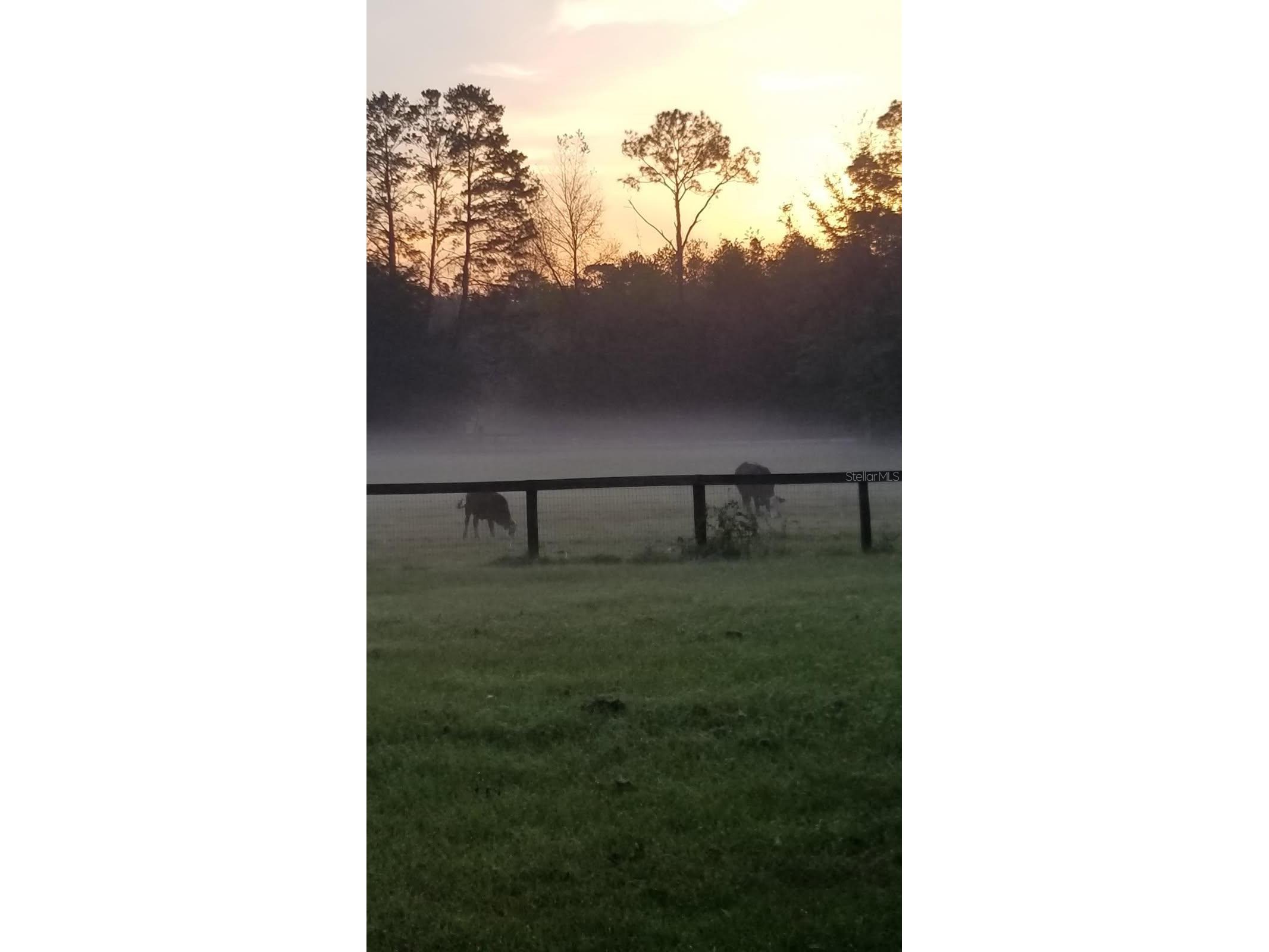4580 NE 138th Terrace Williston FL 32696 OM721074 image8