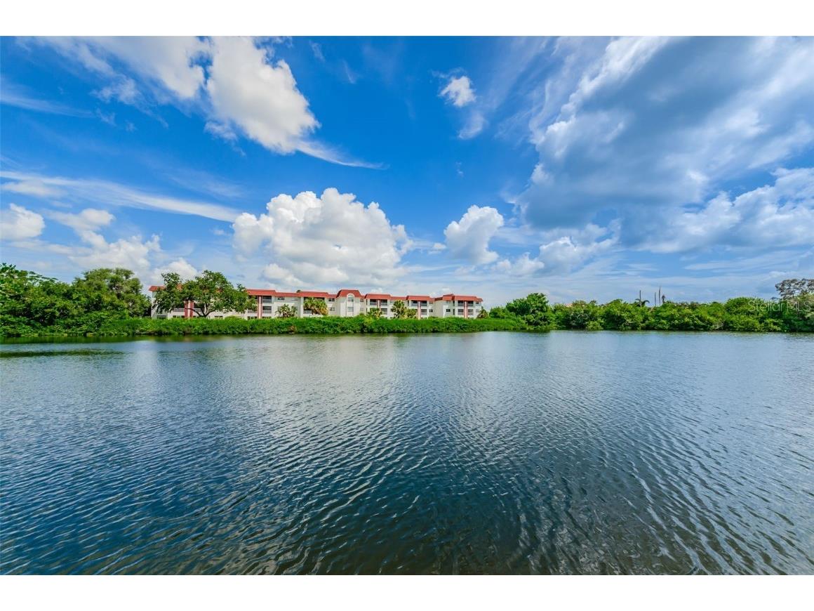 4580 Overlook Drive NE #191 Saint Petersburg FL 33703 TB8399559 image27
