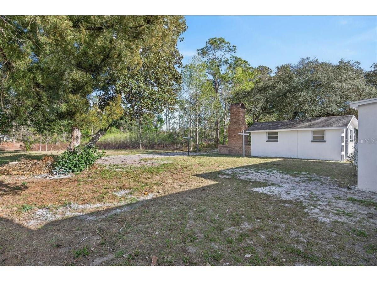 45806 Lake Street Paisley FL 32767 - ZABLE PARK POND TB8483038 image25