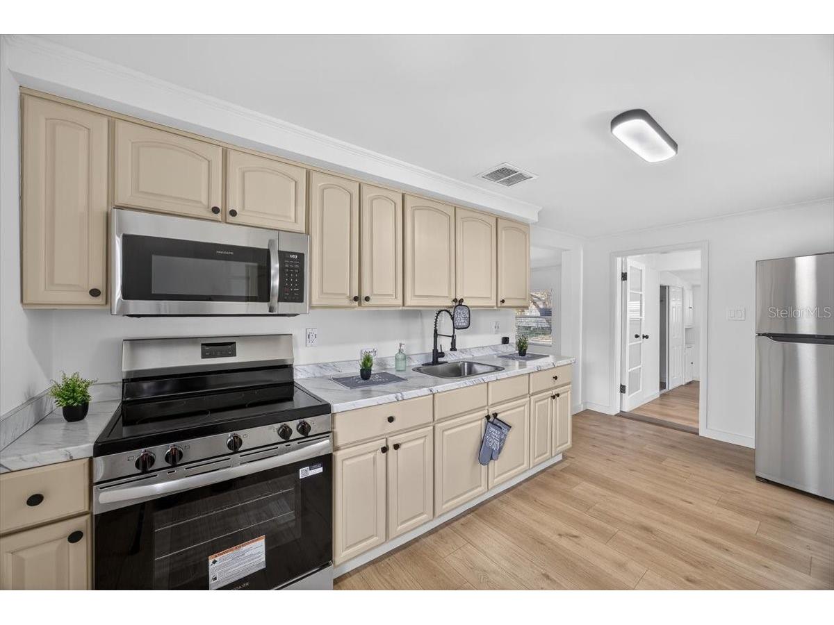 45806 Lake Street Paisley FL 32767 - ZABLE PARK POND TB8483038 image7