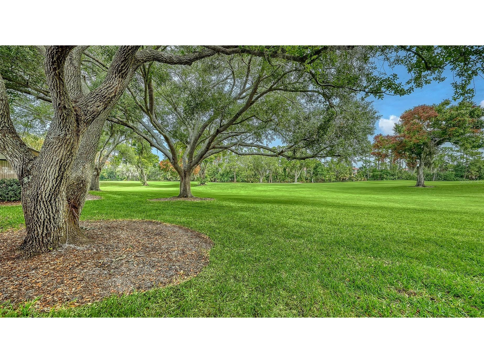 4581 Kingsmere #29 Sarasota FL 34235 A4692855 image38