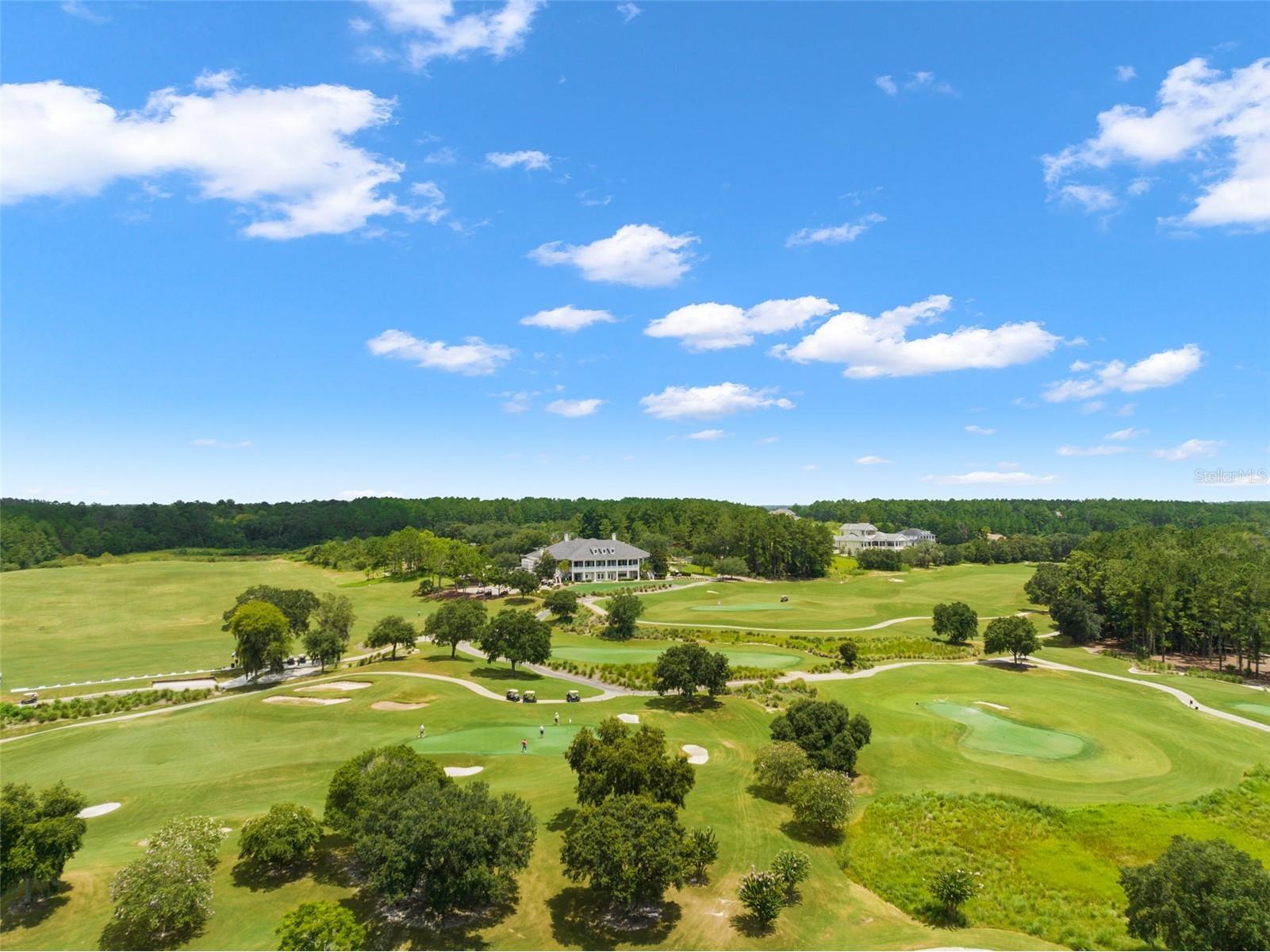 4581 Majestic Hills Loop Brooksville FL 34601 W7882748 image71