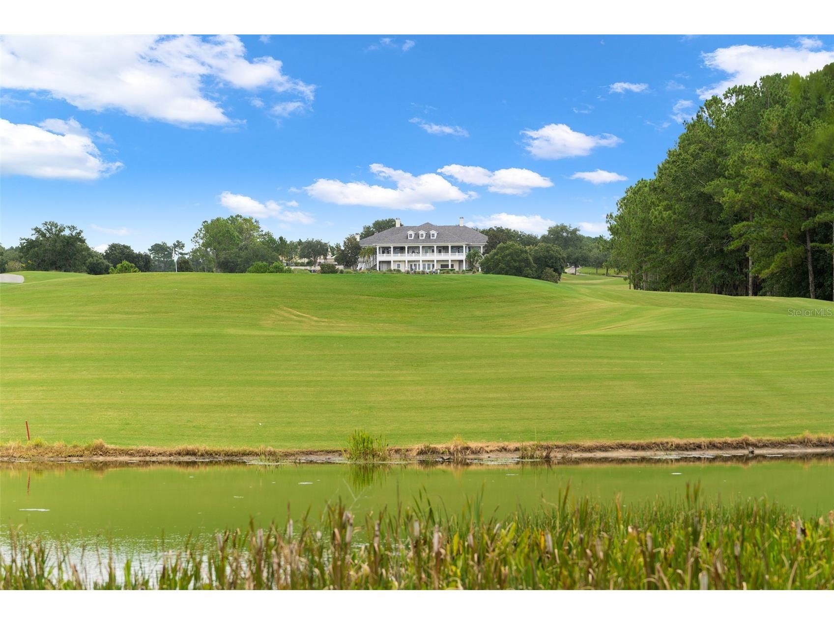 4581 Majestic Hills Loop Brooksville FL 34601 W7882748 image75