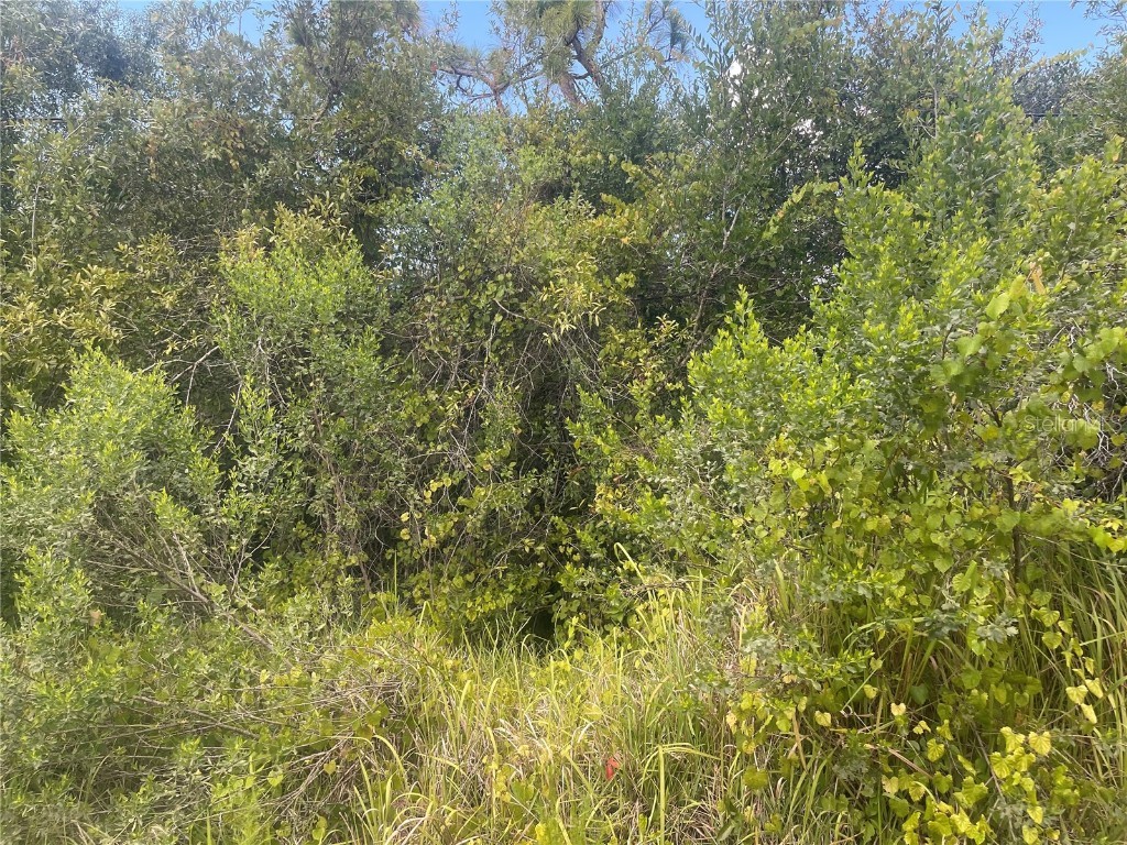 4581 SE Wheat Avenue Arcadia FL 34266 C7463543 image1