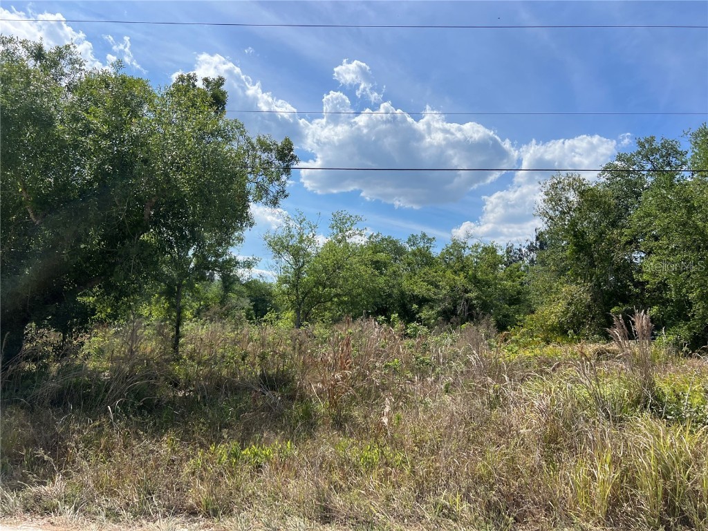 4581 SE Wheat Avenue Arcadia FL 34266 A4646494 image1