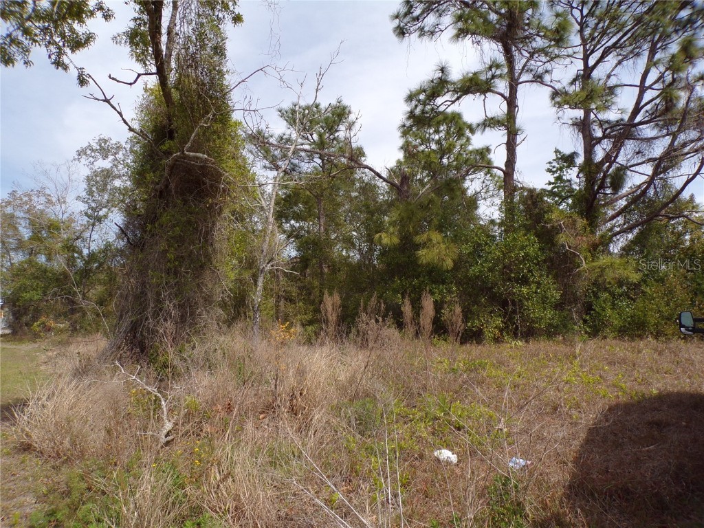 4582 Gondolier Road Spring Hill FL 34609 W7881839 image1