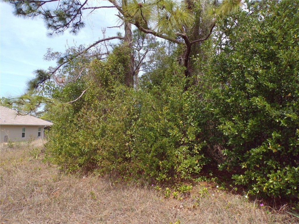 4582 Gondolier Road Spring Hill FL 34609 W7881839 image4