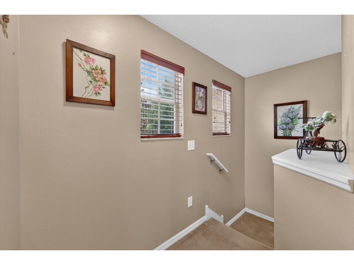 4582 Limerick Drive Tampa FL 33610 TB8526048 image20
