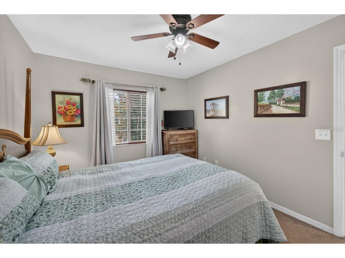4582 Limerick Drive Tampa FL 33610 TB8526048 image22