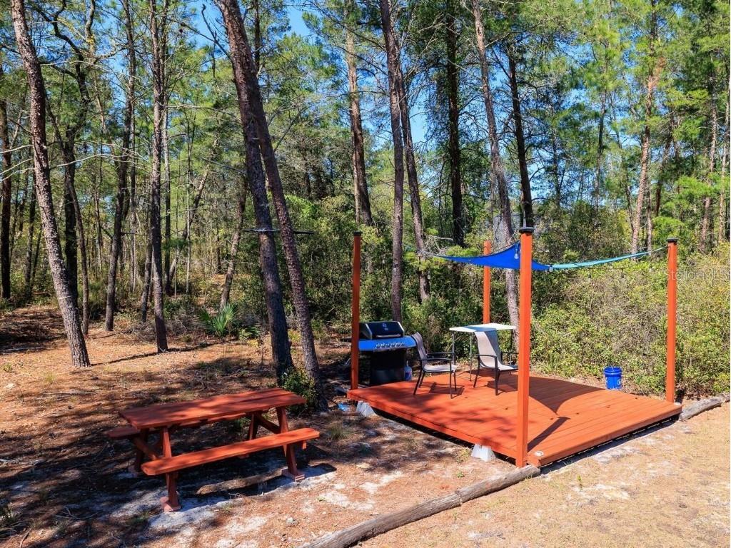 4585 SW 112th Lane Ocala FL 34476 OM711936 image27