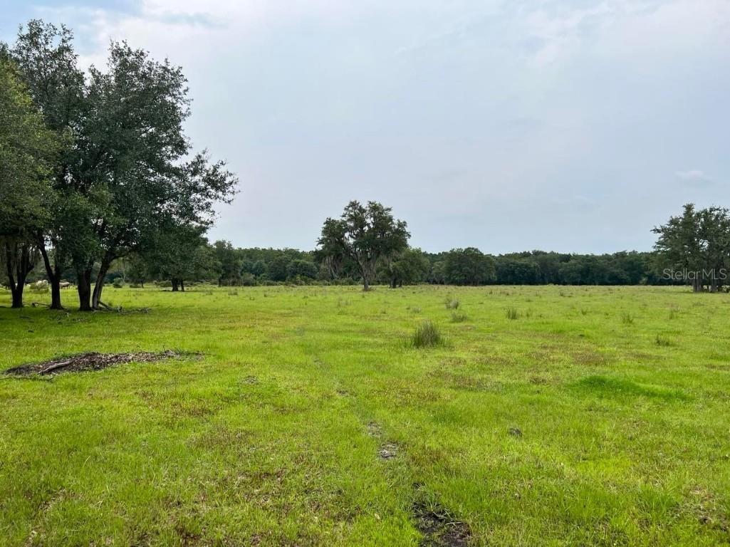 45855 Clay Gully Road Myakka City FL 34251 A4675900 image12