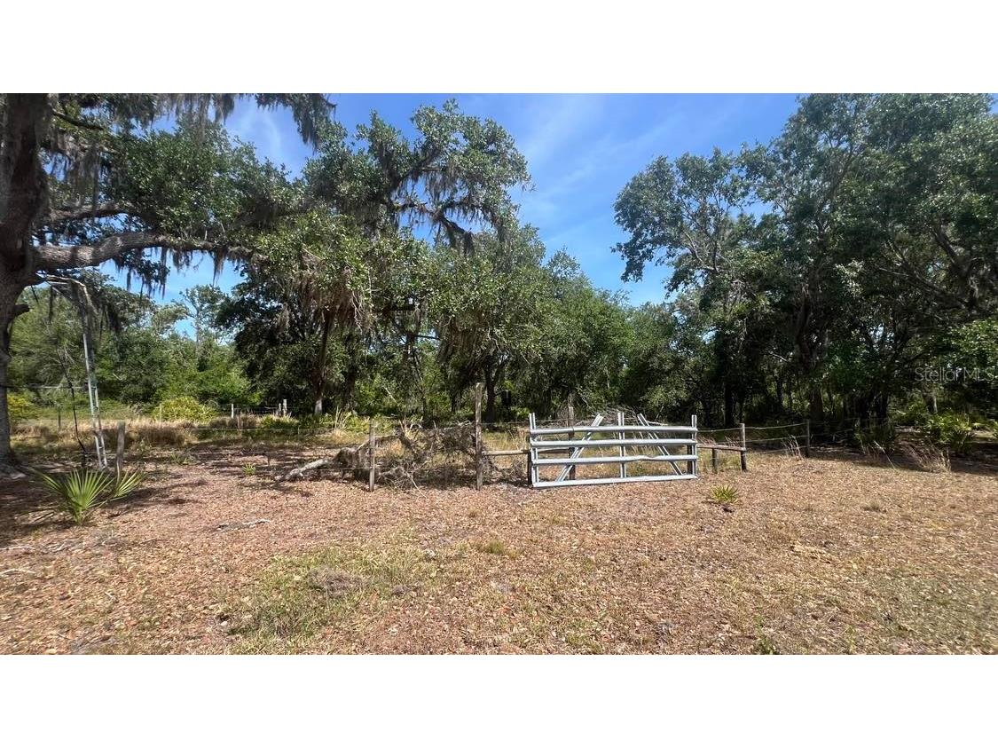 45855 Clay Gully Road Myakka City FL 34251 A4675900 image13