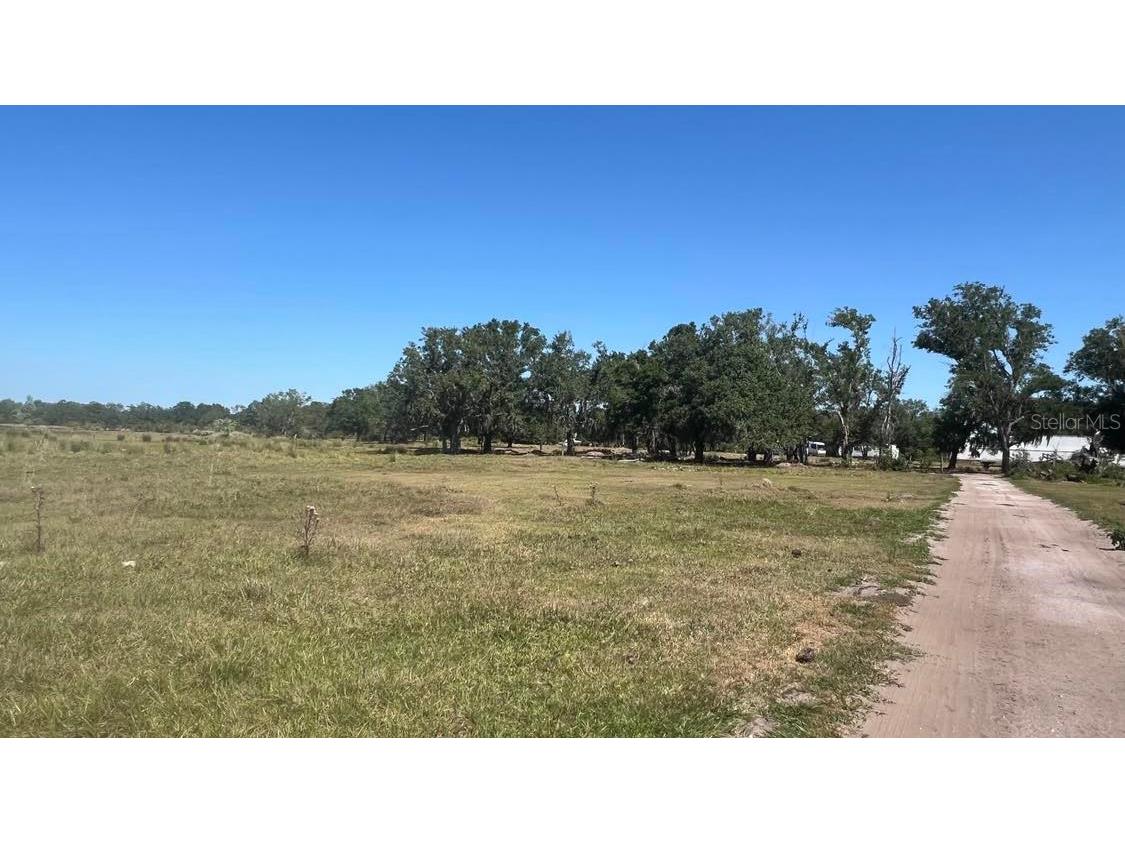 45855 Clay Gully Road Myakka City FL 34251 A4675900 image14