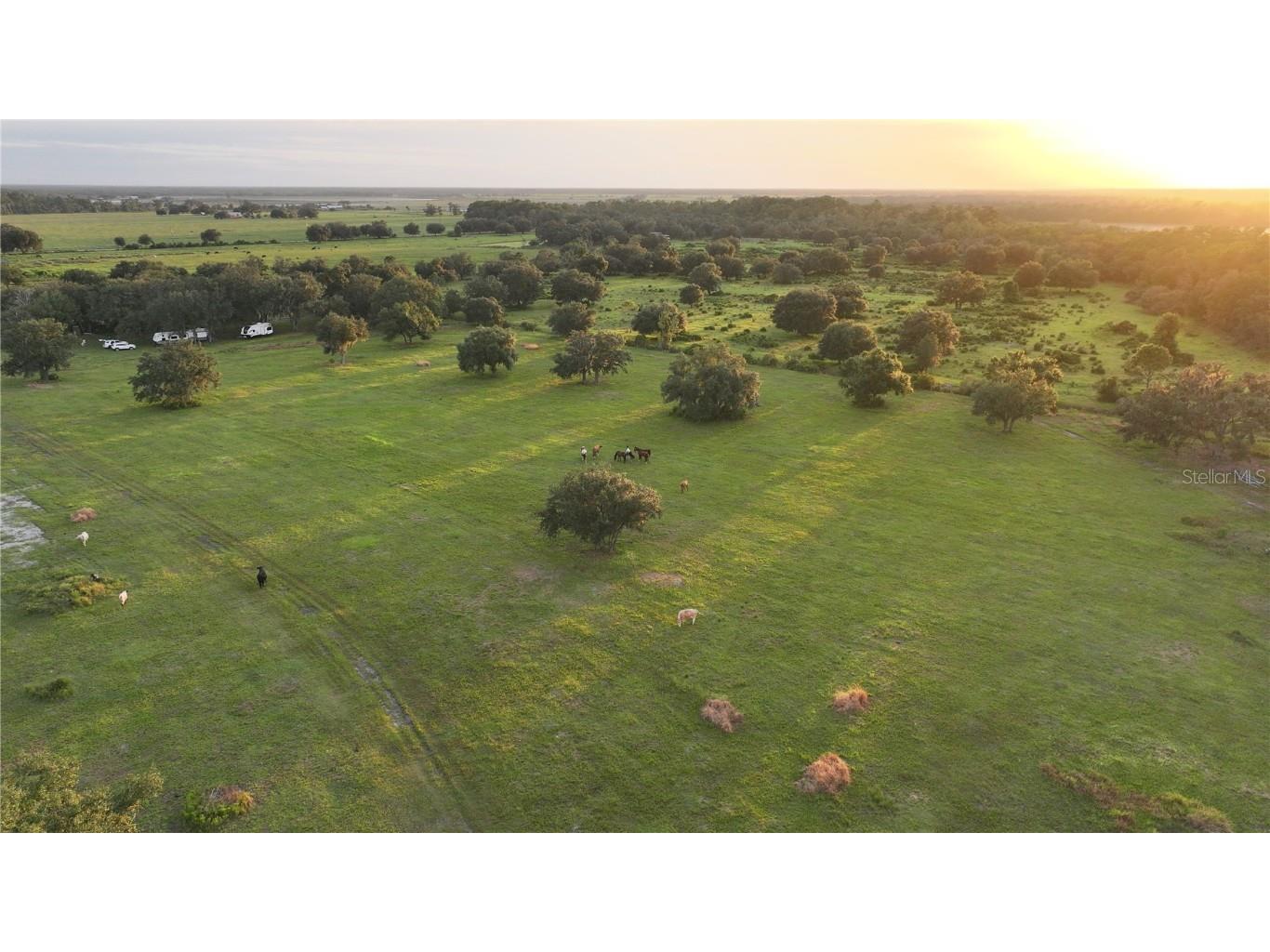 45855 Clay Gully Road Myakka City FL 34251 A4675900 image6