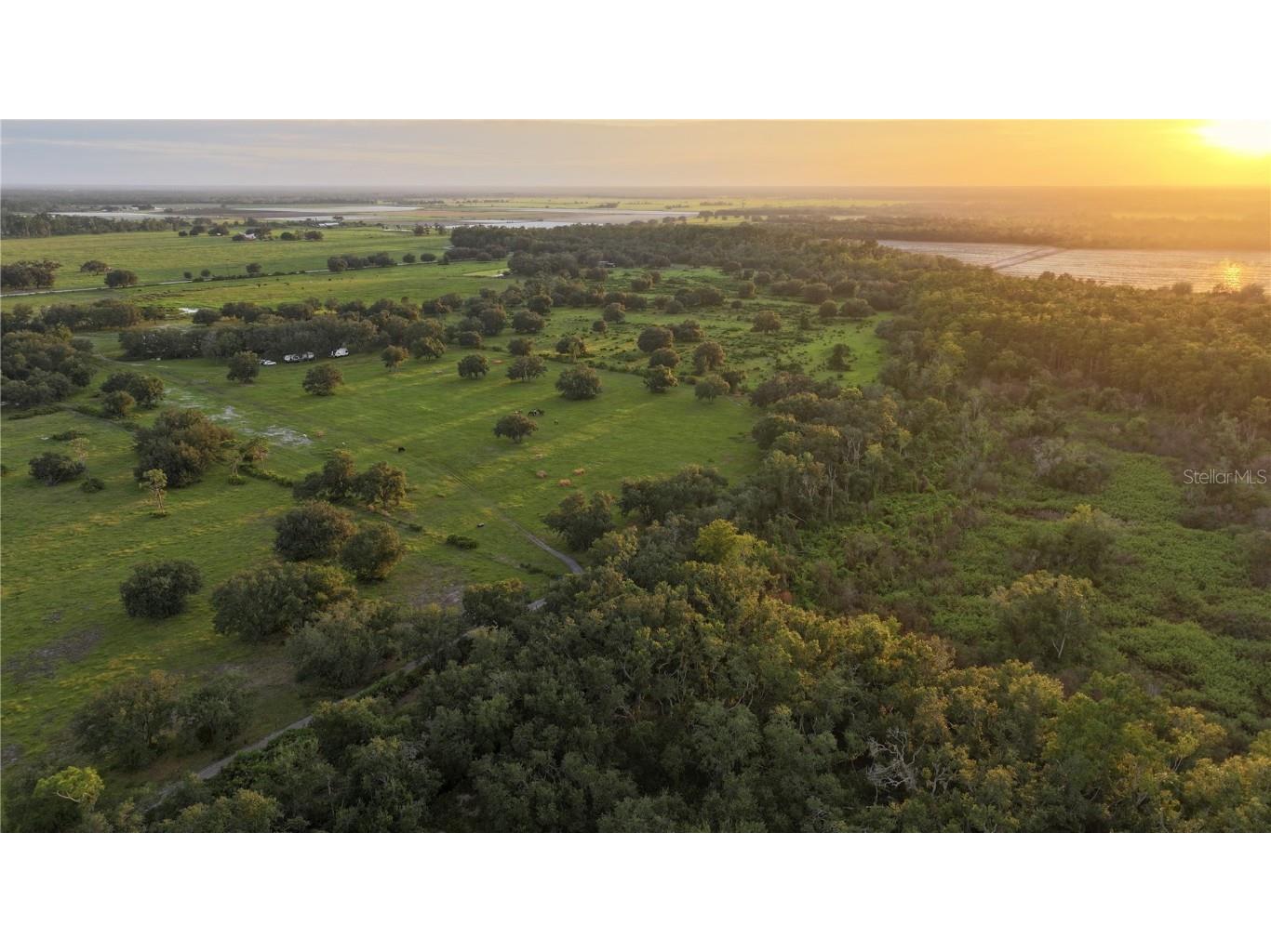 45855 Clay Gully Road Myakka City FL 34251 A4675900 image7