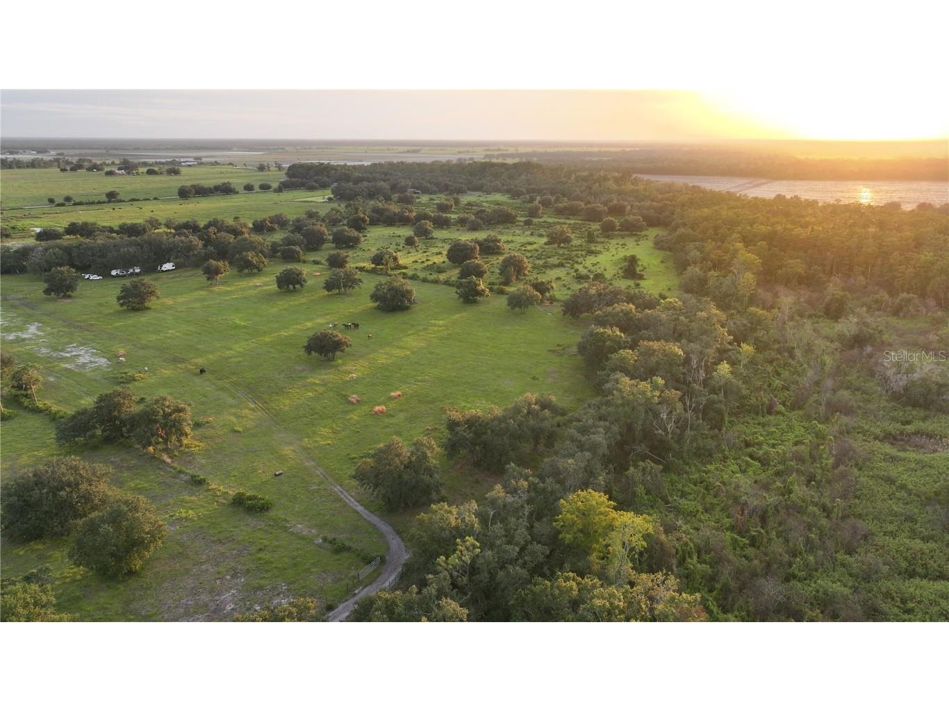 45855 Clay Gully Road Myakka City FL 34251 A4675900 image8