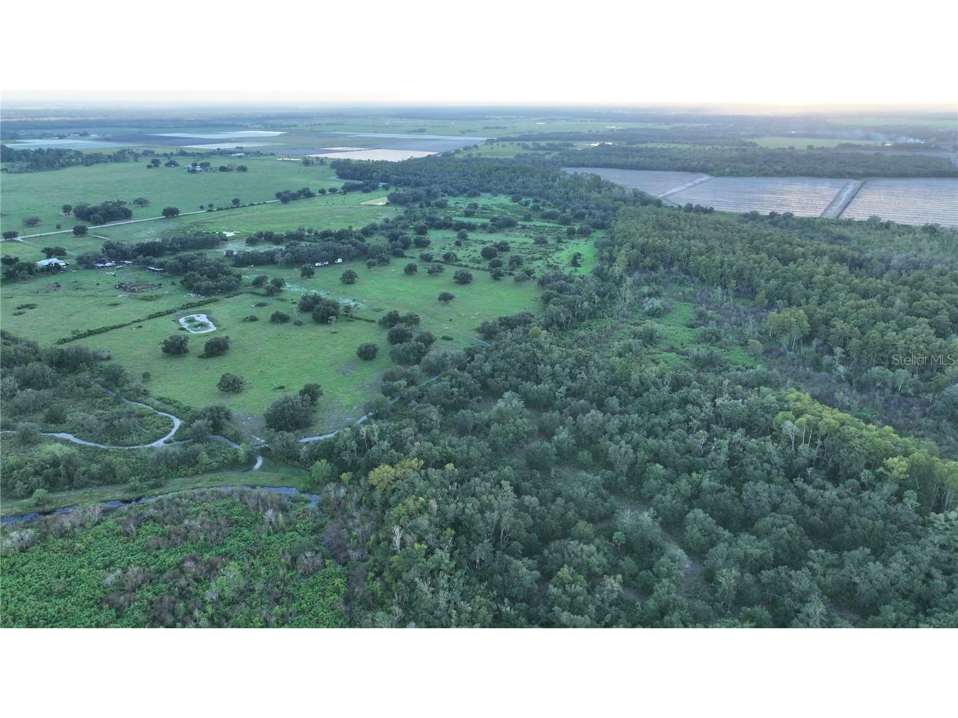 45855 Clay Gully Road Myakka City FL 34251 A4675900 image9