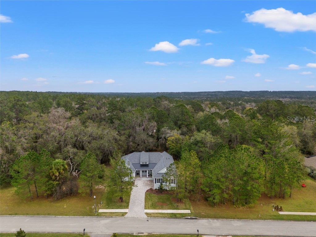 4586 Hickory Oak Drive Brooksville FL 34601 T3502304 image1