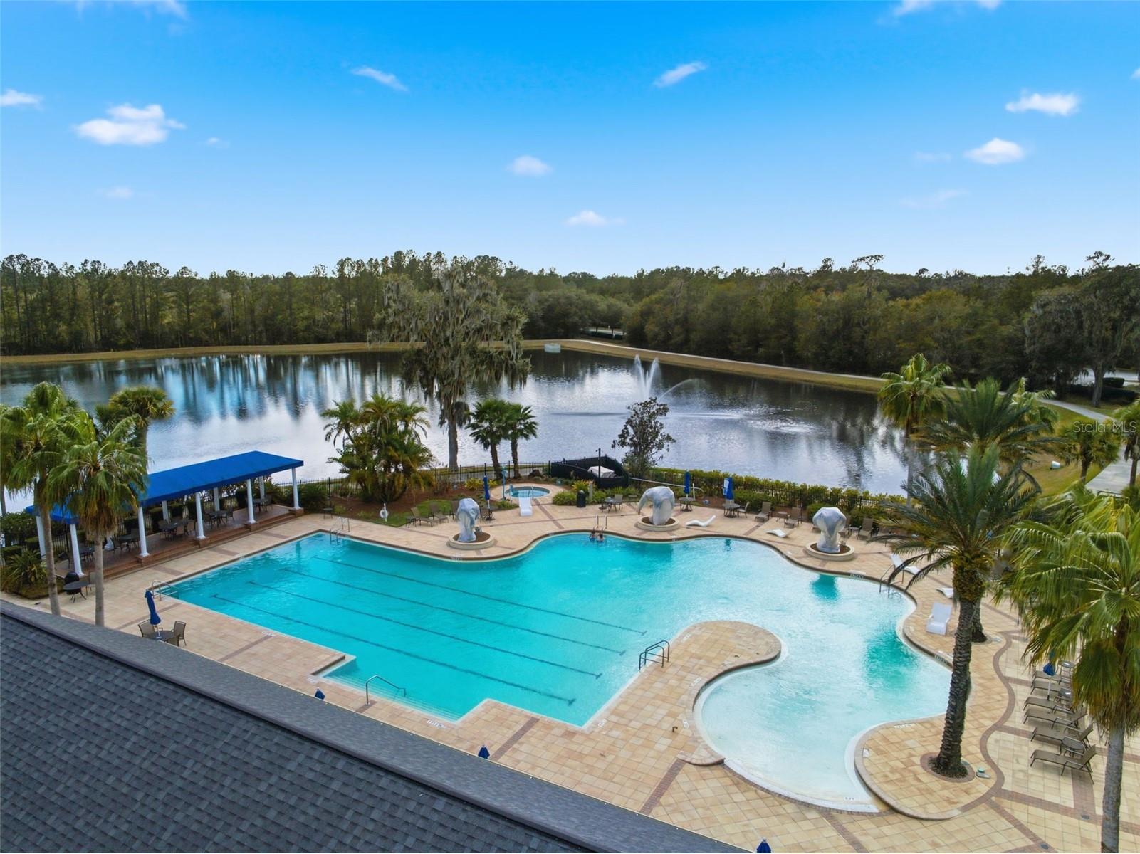 4586 Hickory Oak Drive Brooksville FL 34601 W7882882 image61
