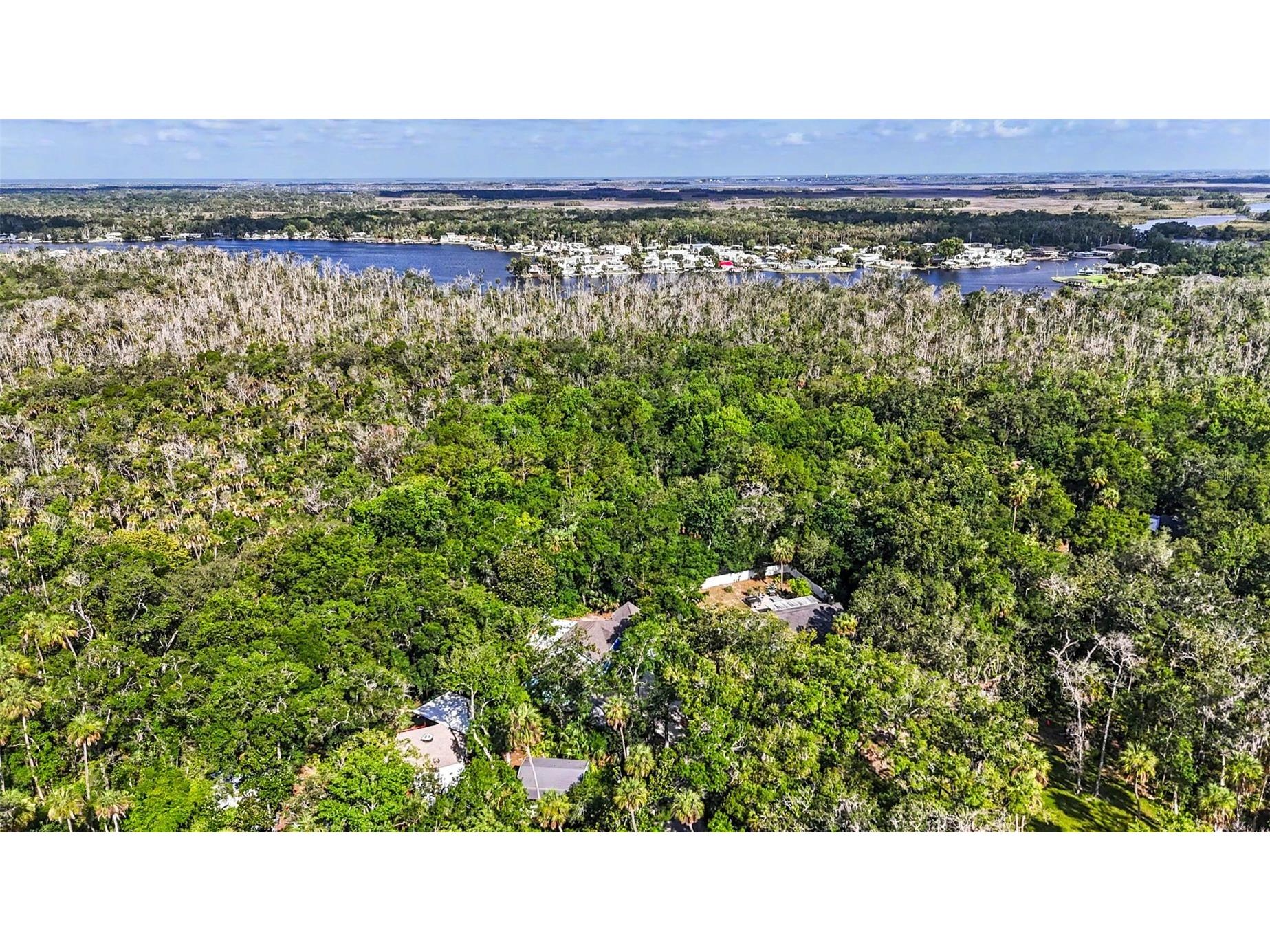 4586 S Flambeau Loop Homosassa FL 34448 TB8520897 image62