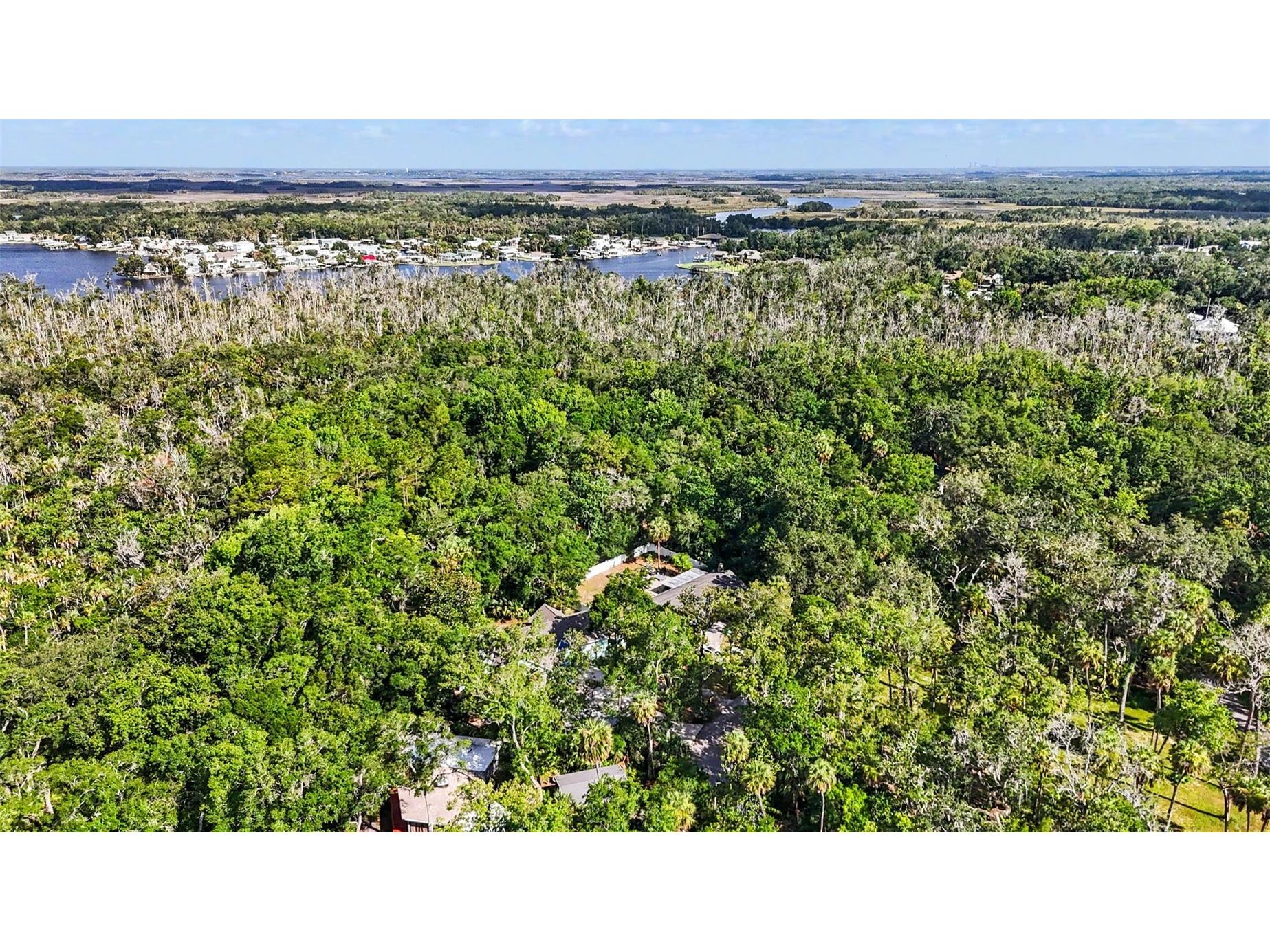 4586 S Flambeau Loop Homosassa FL 34448 TB8520897 image64