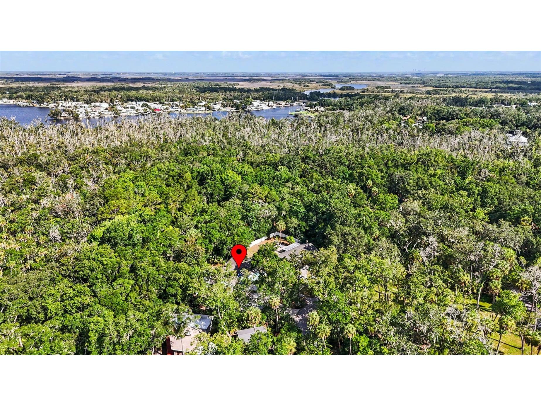 4586 S Flambeau Loop Homosassa FL 34448 TB8520897 image65