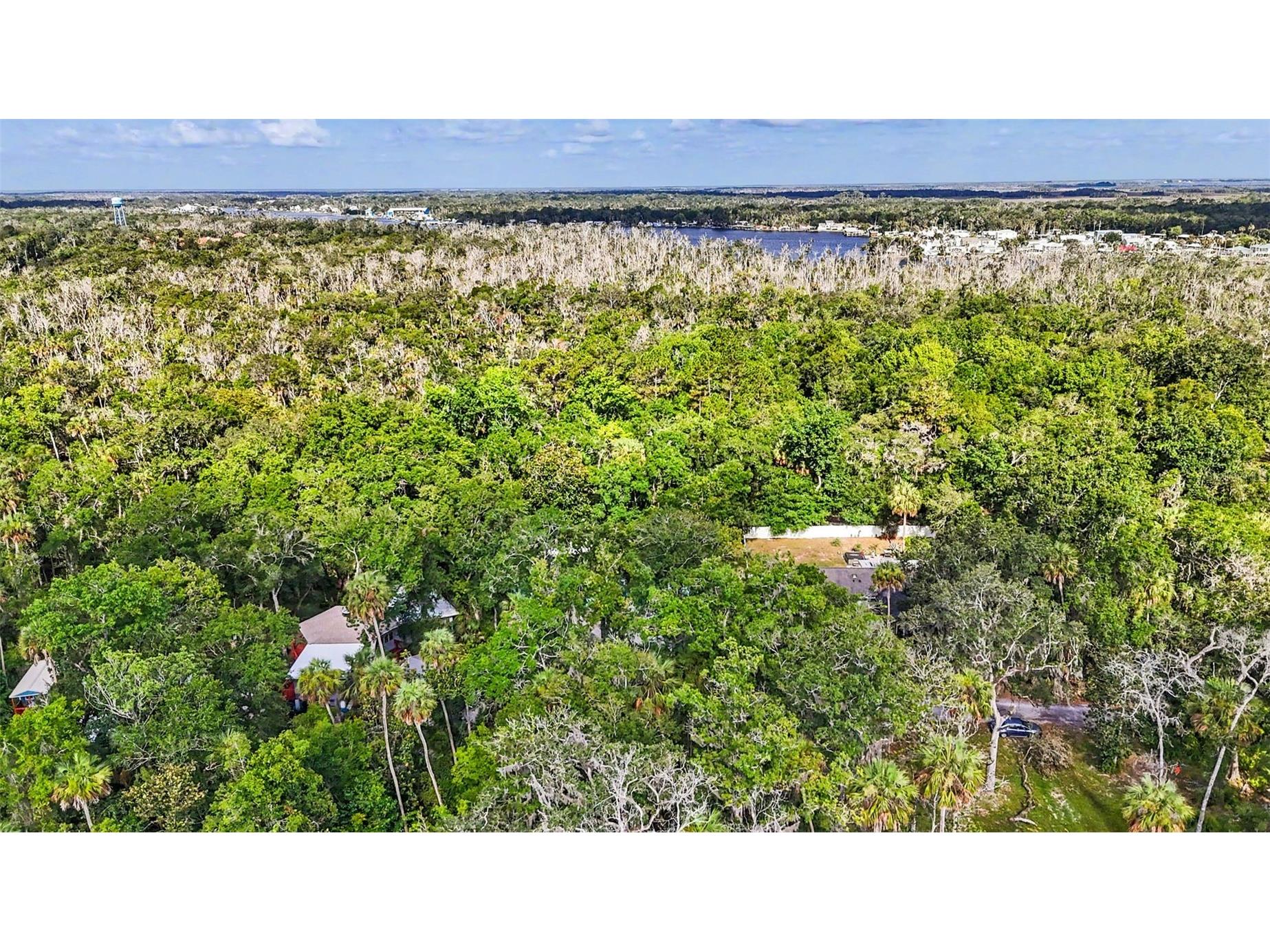 4586 S Flambeau Loop Homosassa FL 34448 TB8520897 image66