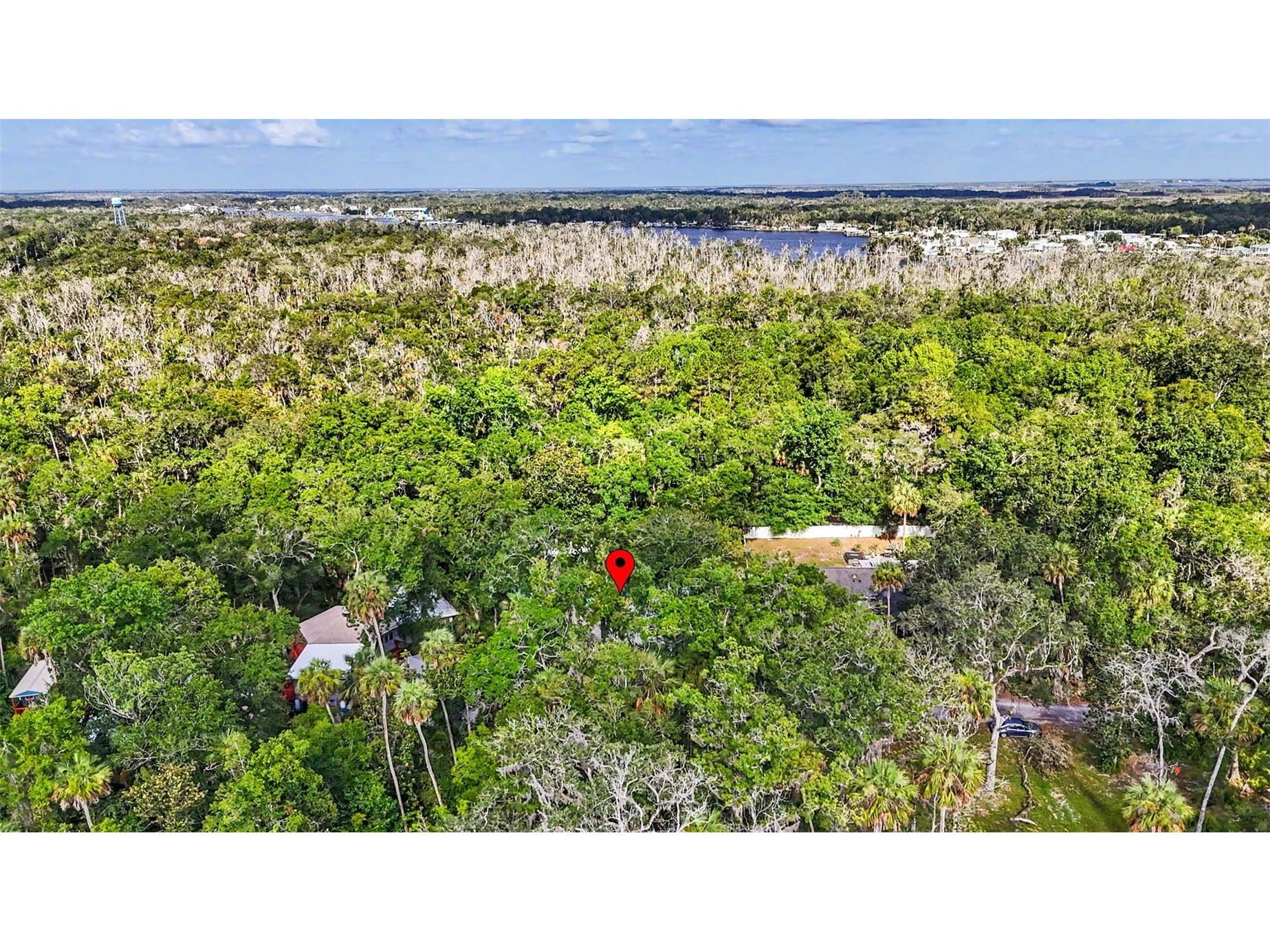 4586 S Flambeau Loop Homosassa FL 34448 TB8520897 image67