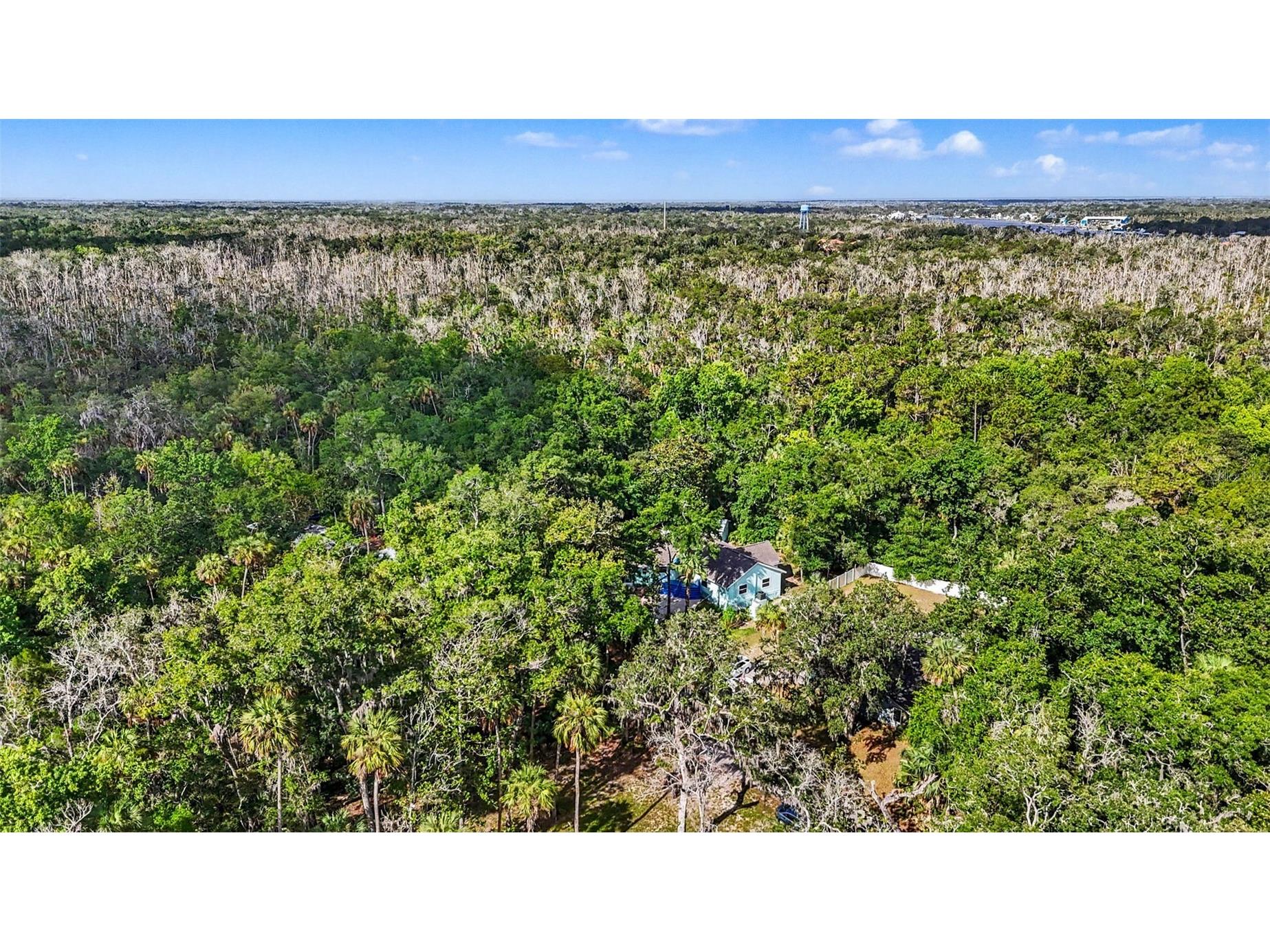 4586 S Flambeau Loop Homosassa FL 34448 TB8520897 image68