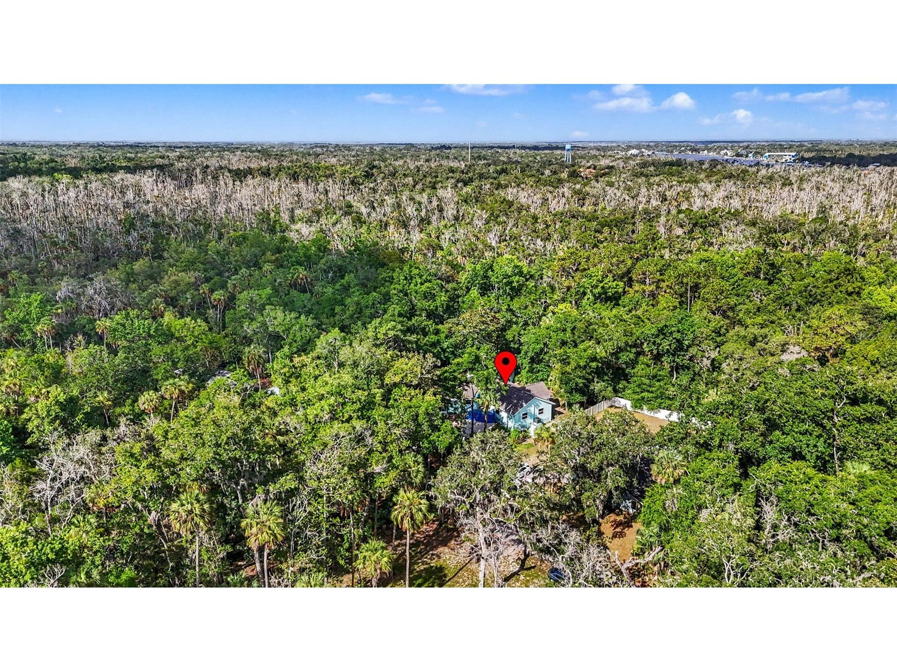 4586 S Flambeau Loop Homosassa FL 34448 TB8520897 image69