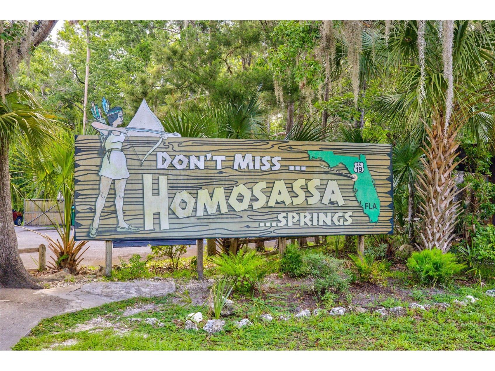 4586 S Flambeau Loop Homosassa FL 34448 TB8520897 image74
