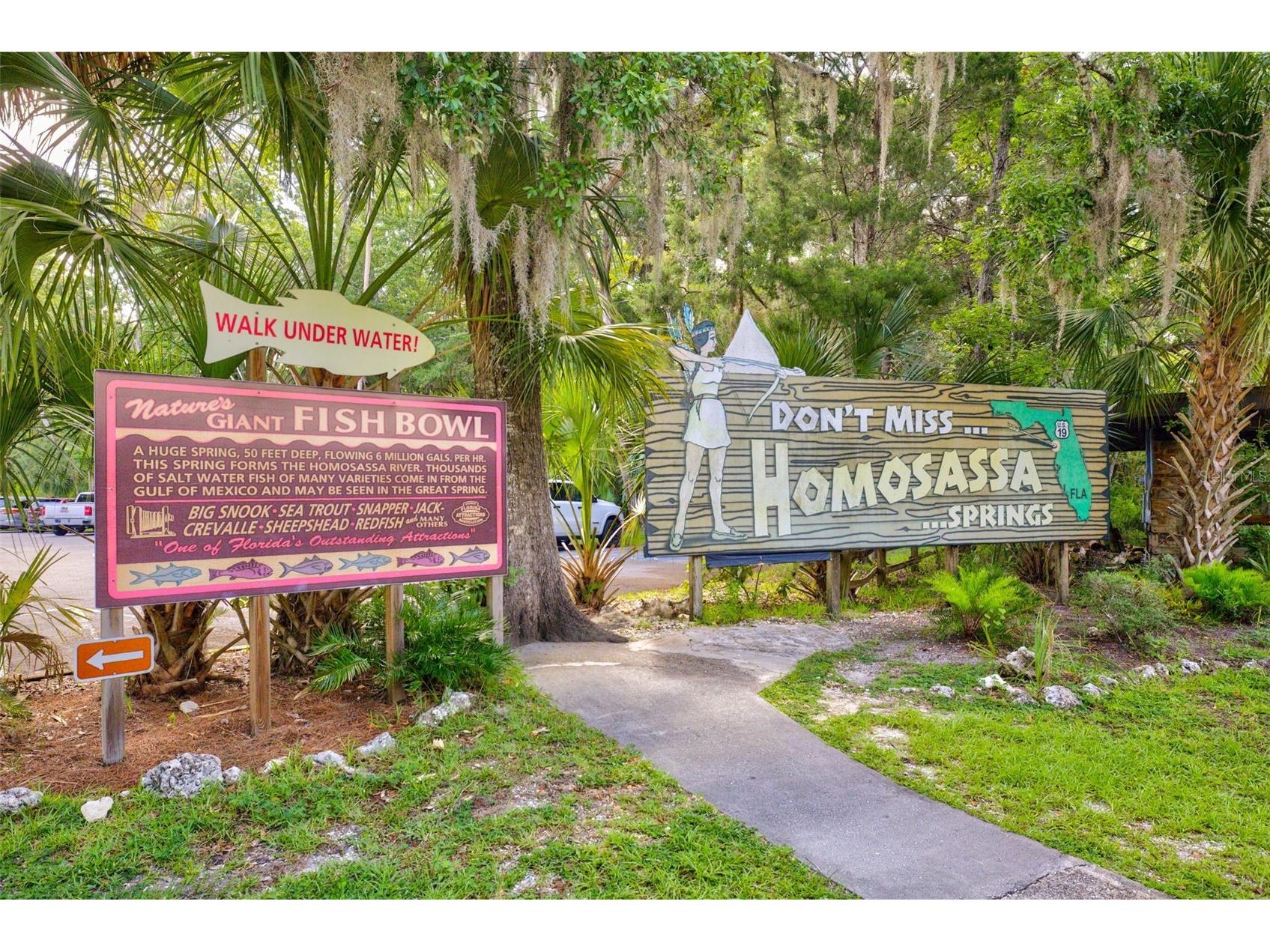 4586 S Flambeau Loop Homosassa FL 34448 TB8520897 image75