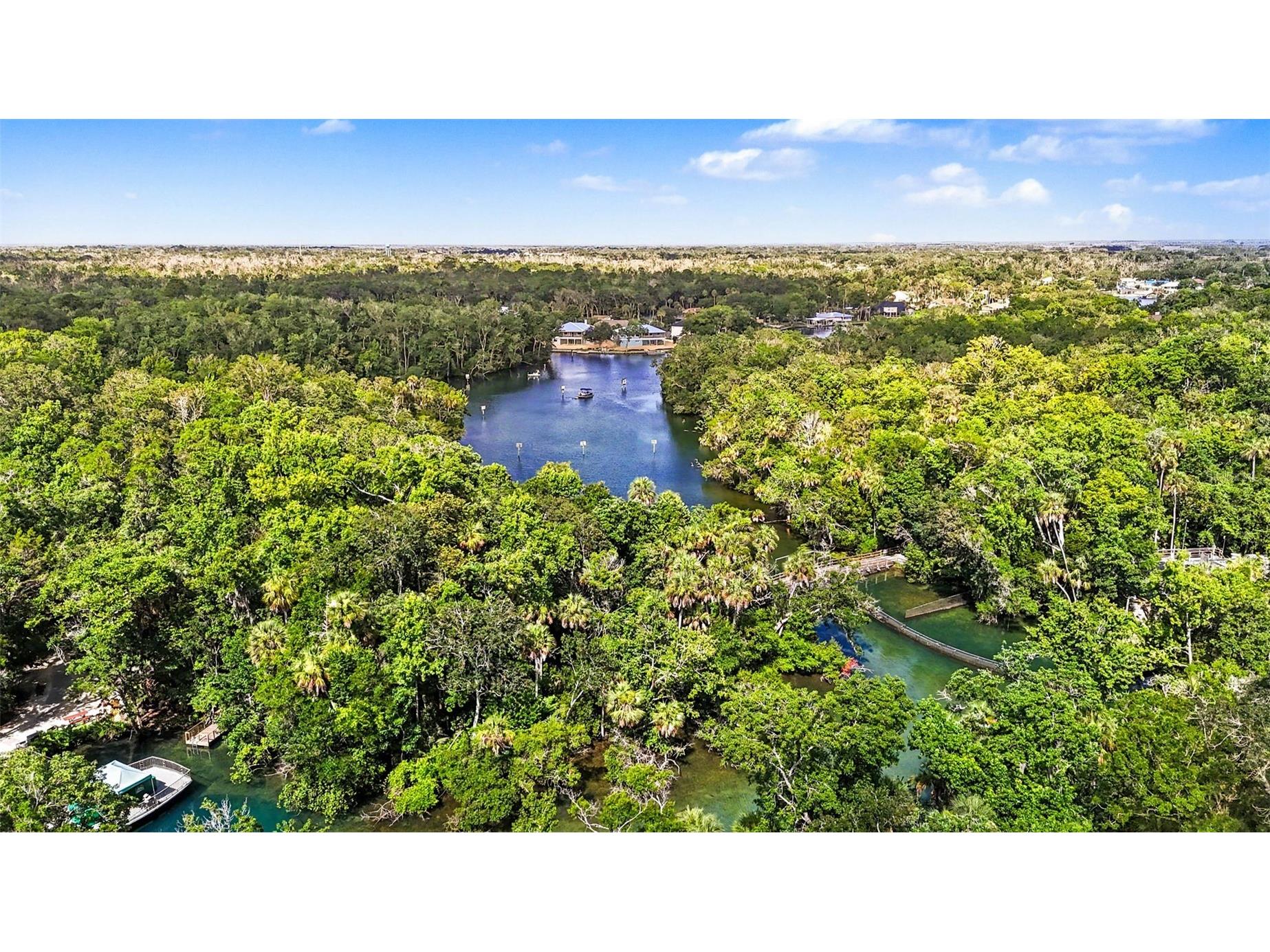 4586 S Flambeau Loop Homosassa FL 34448 TB8520897 image78