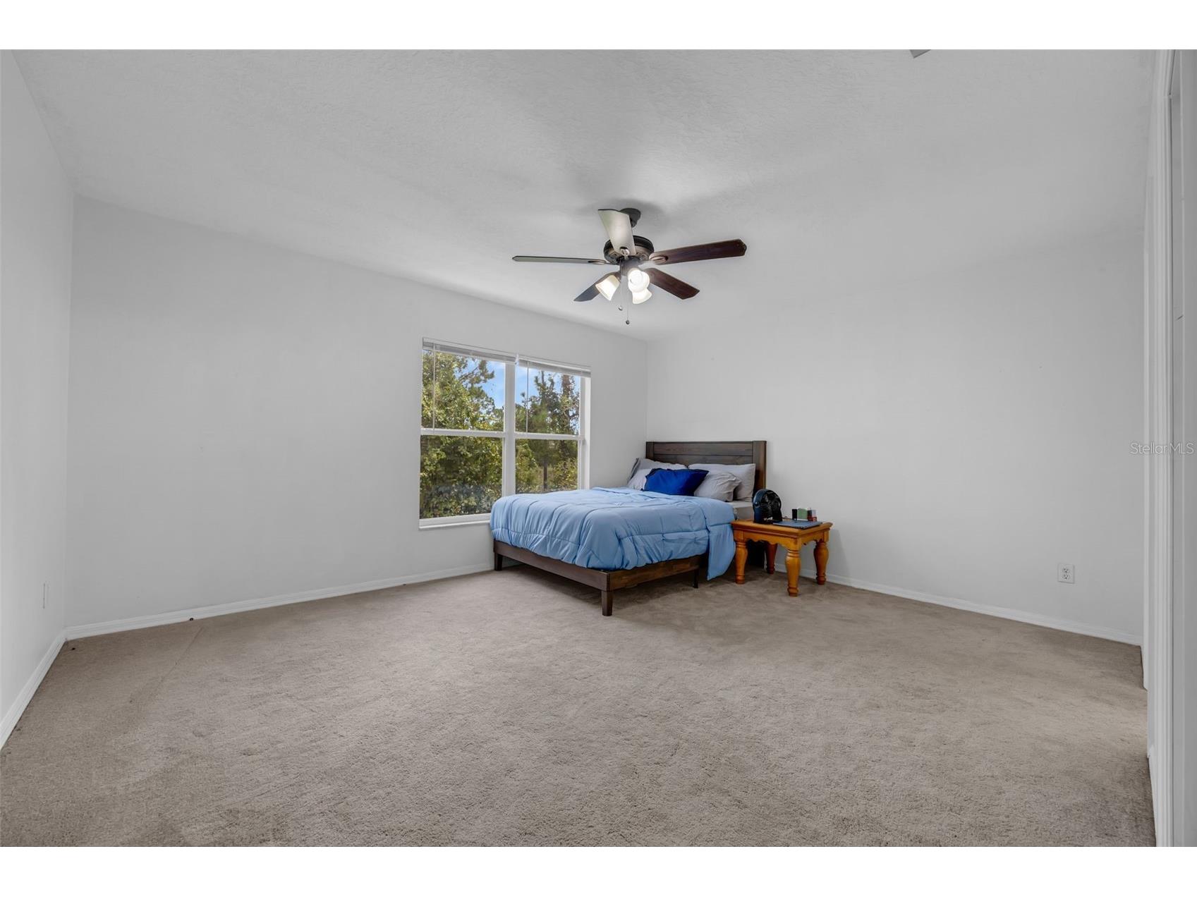 4587 Lacebark Trail Oviedo FL 32765 O6391894 image18