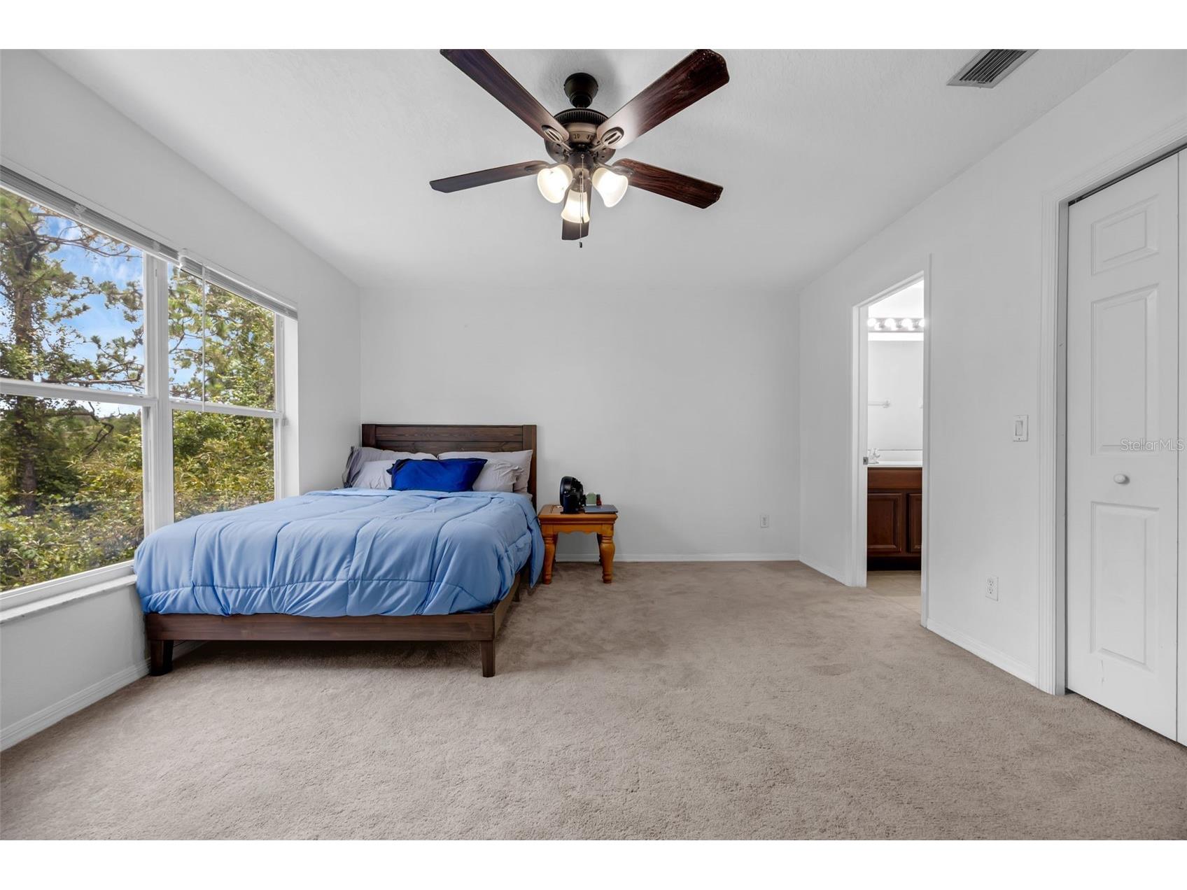 4587 Lacebark Trail Oviedo FL 32765 O6391894 image19