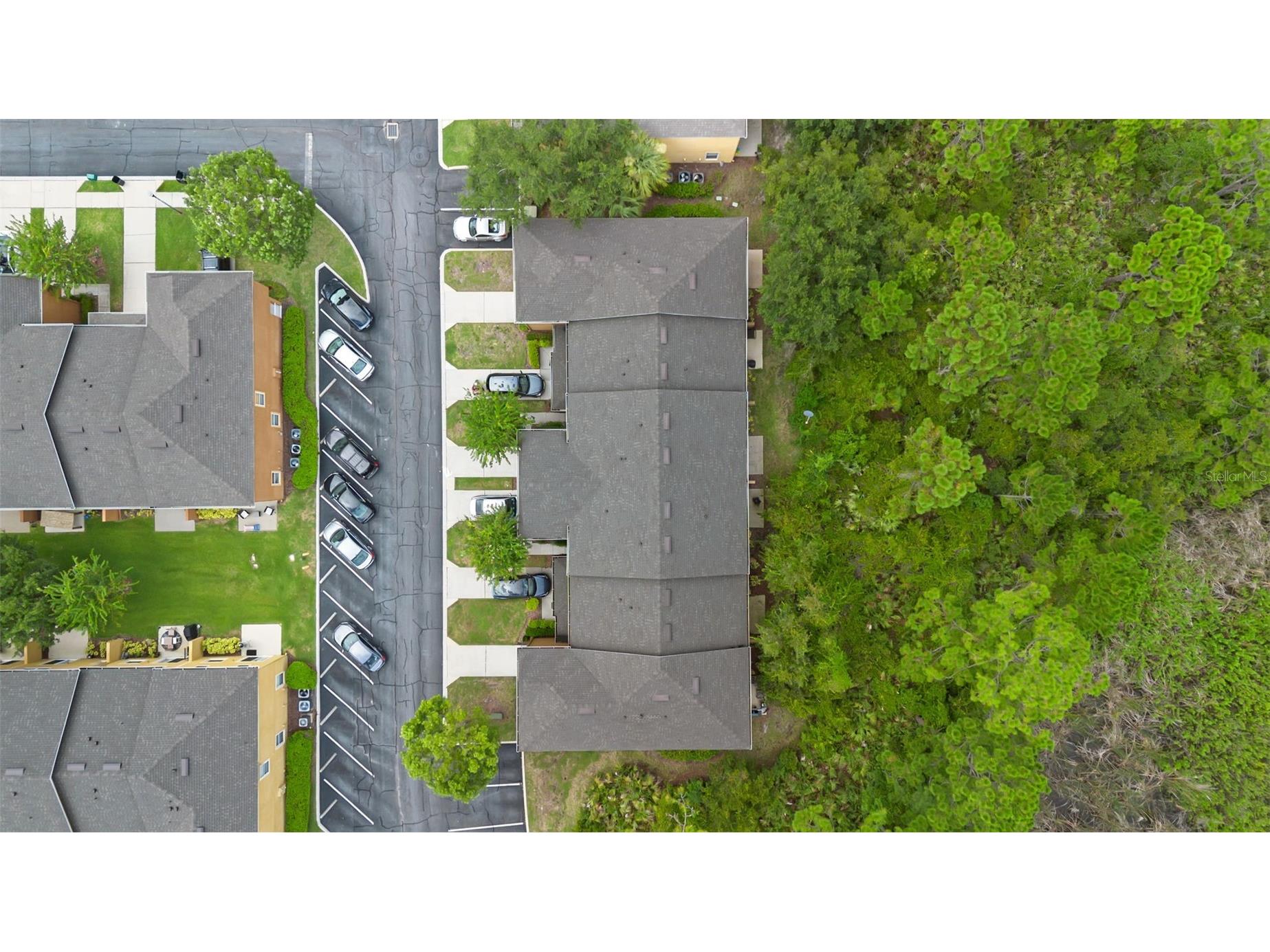 4587 Lacebark Trail Oviedo FL 32765 O6391894 image34