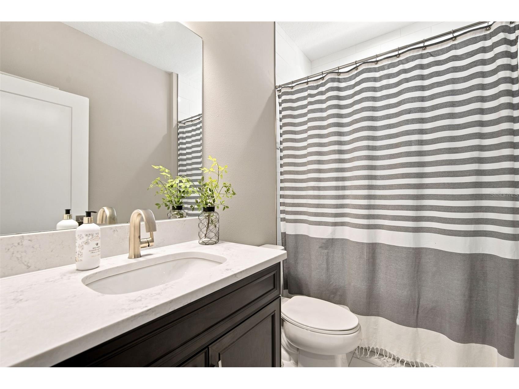 4587 Shoreleaf Loop Valrico FL 33596 TB8527796 image44