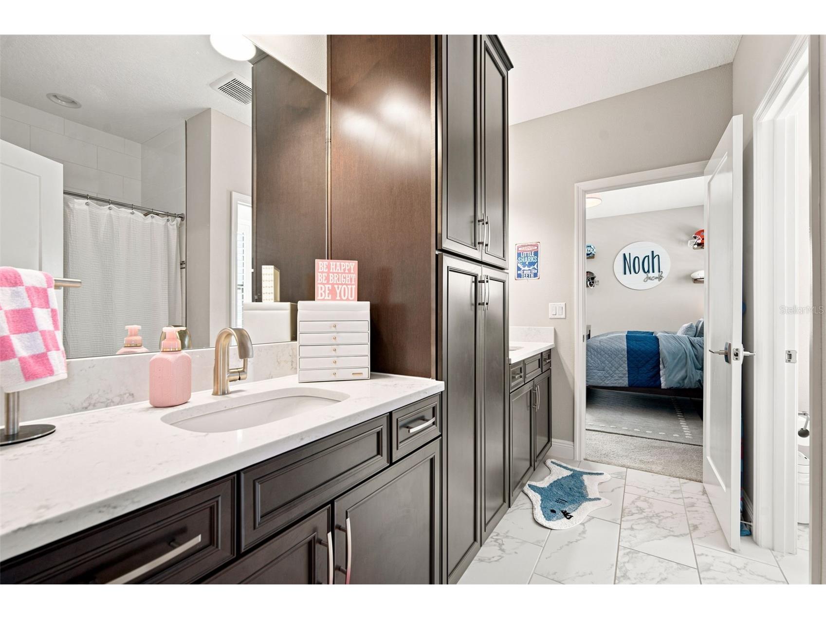4587 Shoreleaf Loop Valrico FL 33596 TB8527796 image50