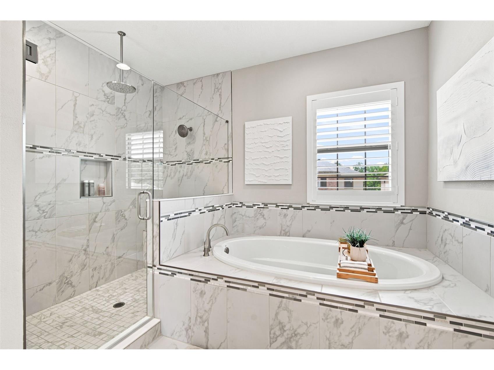 4587 Shoreleaf Loop Valrico FL 33596 TB8527796 image62