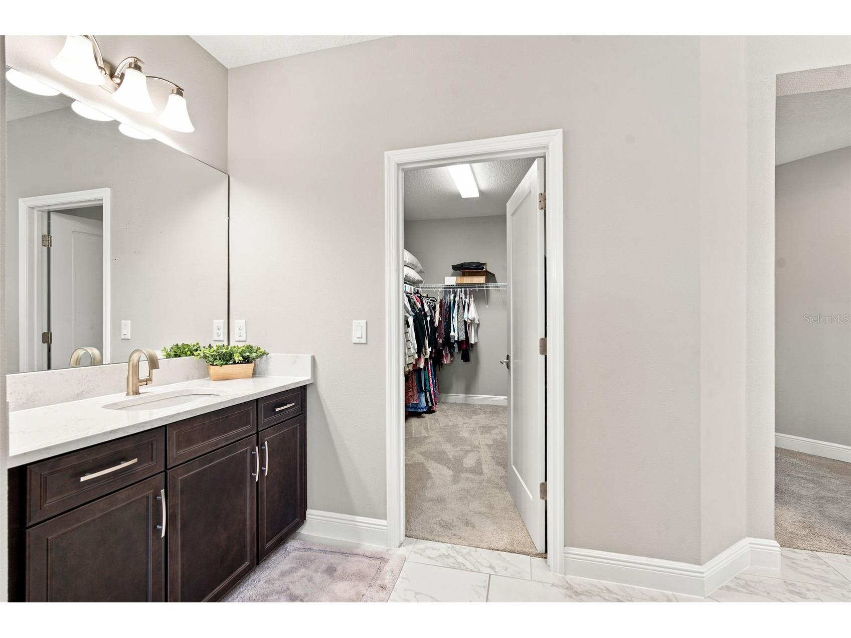 4587 Shoreleaf Loop Valrico FL 33596 TB8527796 image63