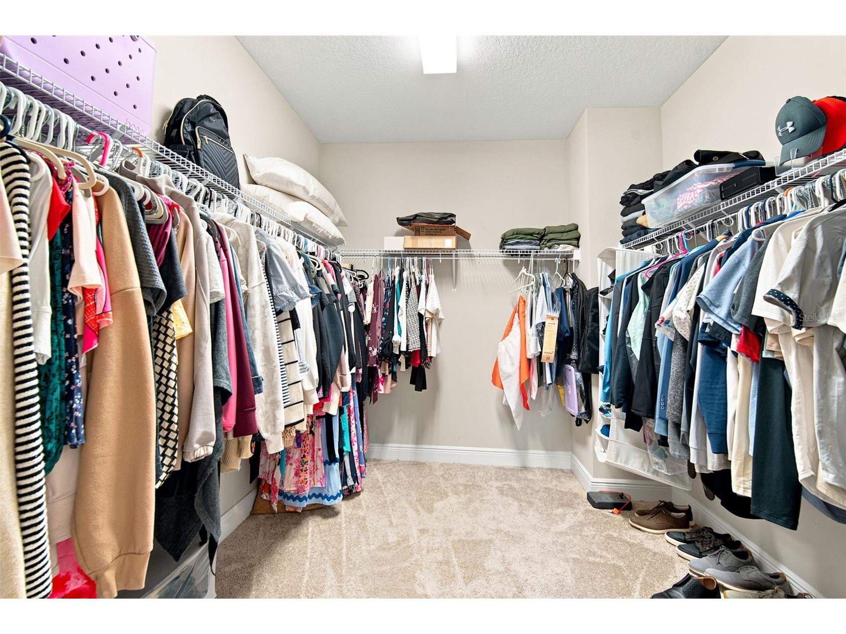 4587 Shoreleaf Loop Valrico FL 33596 TB8527796 image64